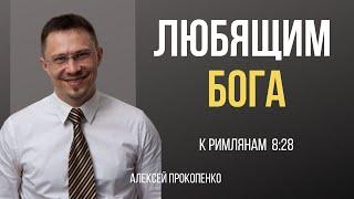 Любящим Бога | Римлянам 8:28 | Алексей Прокопенко