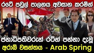 ජනාධිපතිවරුන් පන්නා දැමු අරාබි වසන්තය | Arab Spring Tunisia Egypt Libya in Sinhala |