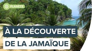 La Jamaïque, au pays de Bob Marley avec Antoine | FUTURA