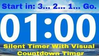 1 Minute Countdown Timer Silent No Music * NO ADS DURING TIMER * 3 Second Count Down To Start -2022