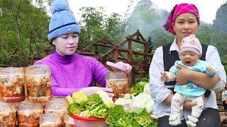 How To Harvest Vegetables At The Farm To Make Salad Goes To Market Sell  | Ly Thi Ca