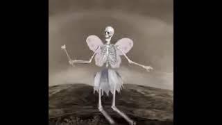 the misadventures of skairy the skeleton fairy