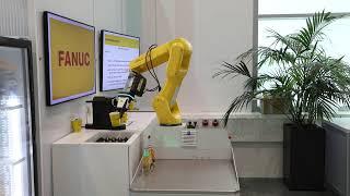 FANUC Barroboter