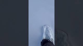 #powday #powder  #snowboarding #snowboard