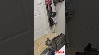 БОРЯ НЕ НАДО! 