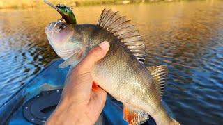 kayak fishing Ben Chifley dam great day on the water