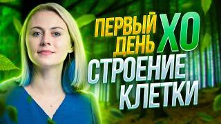 Старт интенсива XO – Строение клетки | Часть 2 | Биология ЕГЭ – Ксения Напольская