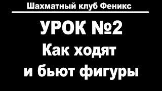 Урок 2. Как ходят и бьют шахматные фигуры.