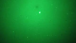 UFO Aug 2017 -Night Vision Style 255mm Lens