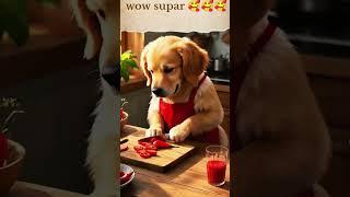 "Dog Chef in Action – Cutest Cooking Video Ever!"