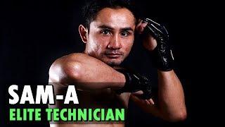 Sam-A Gaiyanghadao - Elite Technical Fighter (Muay Thai Highlight)