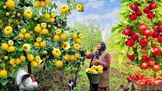 Life in the Village. Famous Recipes in a 2-Hour Video.