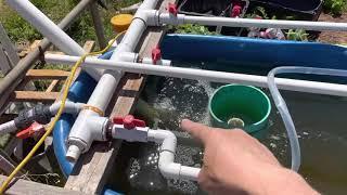 Aquaponics - Mad Science - Trompe Pump Prototype