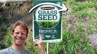 Fixing Lawn with Pennington Kentucky 31 Grass Seed