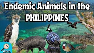 Discover the Unique Wildlife of the Philippines (The Endemic Animals in the Philippines)