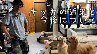 キッカの近況と今後について