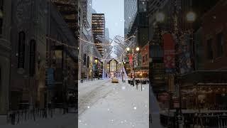 Snowfall in Calgary Alberta Canada on November 2022 #shorts