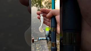 #pesca #ignorante al #luccio !!! #shorts #fishing #spinning #lake