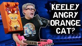 Don't Miss the New Keeley Angry Orange Cat 4in1 Fuzz Pedal! | B's Music Shop