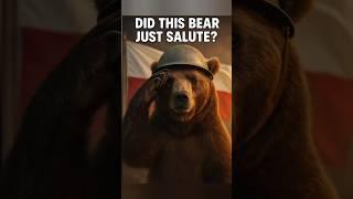 The Bear Who Fought Naz*s: Wojtek’s Wild True Story 