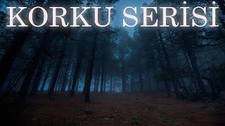 UYKUSUZLARA KORKU SERİSİ | YAŞANMIŞ KORKU HİKAYELERİ | PARANORMAL HİKAYELER