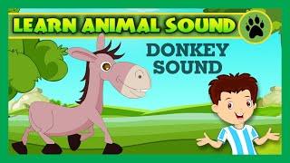 Animal Sound for Children | Donkey Sound, Cat Sound, Cock Sound | Kids Hut