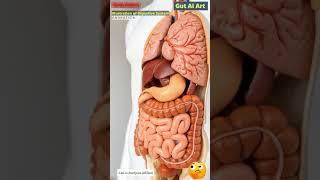 Digestive System Animation | Gut AI Art | 11