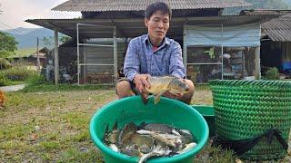 Harvesting Fish Ponds Locally - Selling Fish | Repair outdoor shower floor | Solo Survival