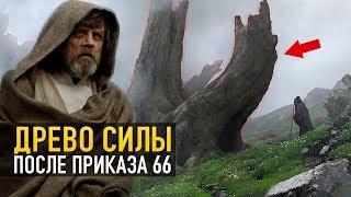 Чувствительное к силе дерево! Что стало с Великим Древом после приказа 66?