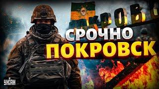 Срочно из-под Покровска! Ожесточенные бои (ВИДЕО) Армию РФ стирают в пыль. Подкрепление ВСУ