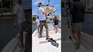 Catch of the year with Bat Reverse  Use code YOUTUBE at ballista.co for your discount!