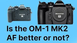 Is the OM-1 mk2 better at AF for birds than the OM-1 Mk1? It has taken me a while to decide!