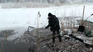 Мор рыбы на реке Ижора в Колпино - бульвар Трудящихся