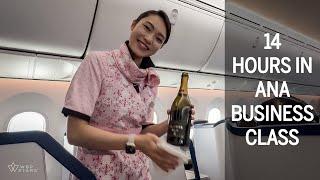 14 hour BUSINESS CLASS flight from Tokyo to Paris with ANA (All Nippon Airways)