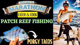 Florida Keys Patch Reef Fishing Marathon Porgy Catch and Cook Tacos Mangrove Snapper  Huge Grunt