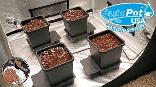 Bassdropkeys 4 Pot Autopot System Bundle