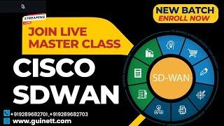 Cisco SDWAN Live Master Class- Learn Everything About SDWAN-by-Cisco SDWAN Expert