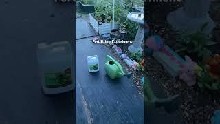 Remember to fertilize your garden for a plentiful harvest #gardening #garden #gardentips