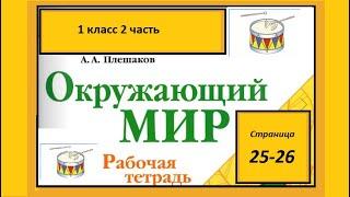 Окружающий мир 1 класс рабочая тетрадь 2 часть. Почему звенит звонок