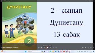 2 сынып Дүниетану 13 сабақ