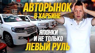 Обзор авторынка в Харбине  Реальные цены на авто в Китае  Что ВЫГОДНО привозить в РФ в 2024