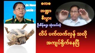 လိပ် ပက်လက်လှန် စကစ ဘဏ္ဍာ စီးပွား၊ ကျရှုံးမလား ကျော်လွှားနိုင်မလား - ပညာရှင် ဦးစိန်ဌေး သုံးသပ်သည်