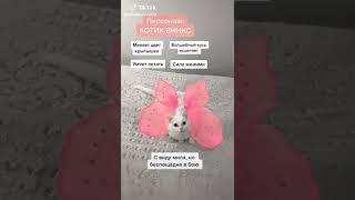 sofiadelmonstro | Animals Pets TikTok |