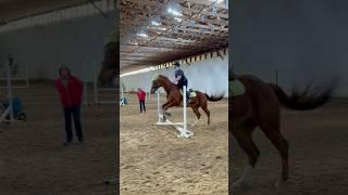 Sammy yesterday! Omg I love this horse sm I’m so proud of us! 