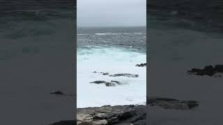 Zapallar Waves Crashing #Chile #travel #explore #explorechile #zapallar