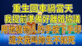 上一世，老公遭遇車禍，癱瘓成植物人。只因他在離婚的路上，和小三打情罵導致車禍。照顧植物人老公第三年，他終於醒了。本以為苦盡甘來。沒想到五歲的私生子突然認親，我們大吵一架，他護著小三母子，失手將我推下陽