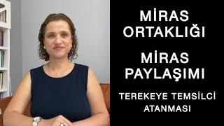 MİRAS ORTAKLIĞI, MİRASIN PAYLAŞIMI, MİRASA (TEREKEYE) TEMSİLCİ ATANMASI | Avukat Aysel Aba Kesici |