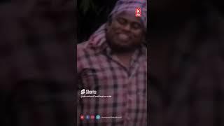 நல்லா தக்காளி மாதிரி தளதளன்னு இருக்கு #comedyshorts #funnyshorts #comedy #entertainment #ytshorts