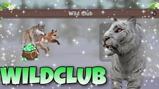 ПОКУПАЮ WILDCLUB! ОБЗОР WILDCLUB!