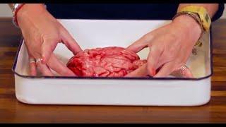 Brain Dissection -Biology & Psychology GCSE A-level NEET Practical Skills